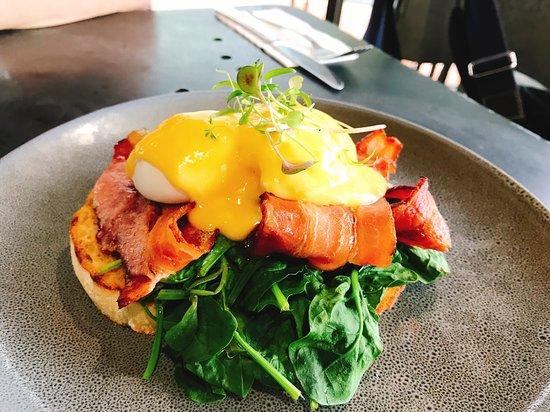 Perrotta's at the Gallery